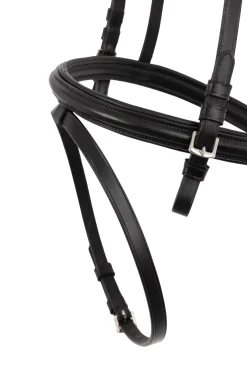 anatomisk tøyle Francis Crown