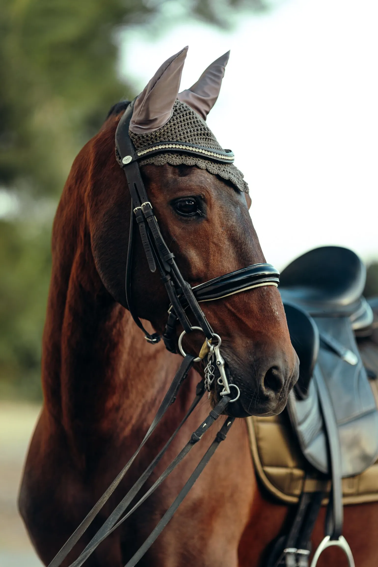 B Vertigo Drew ørehette