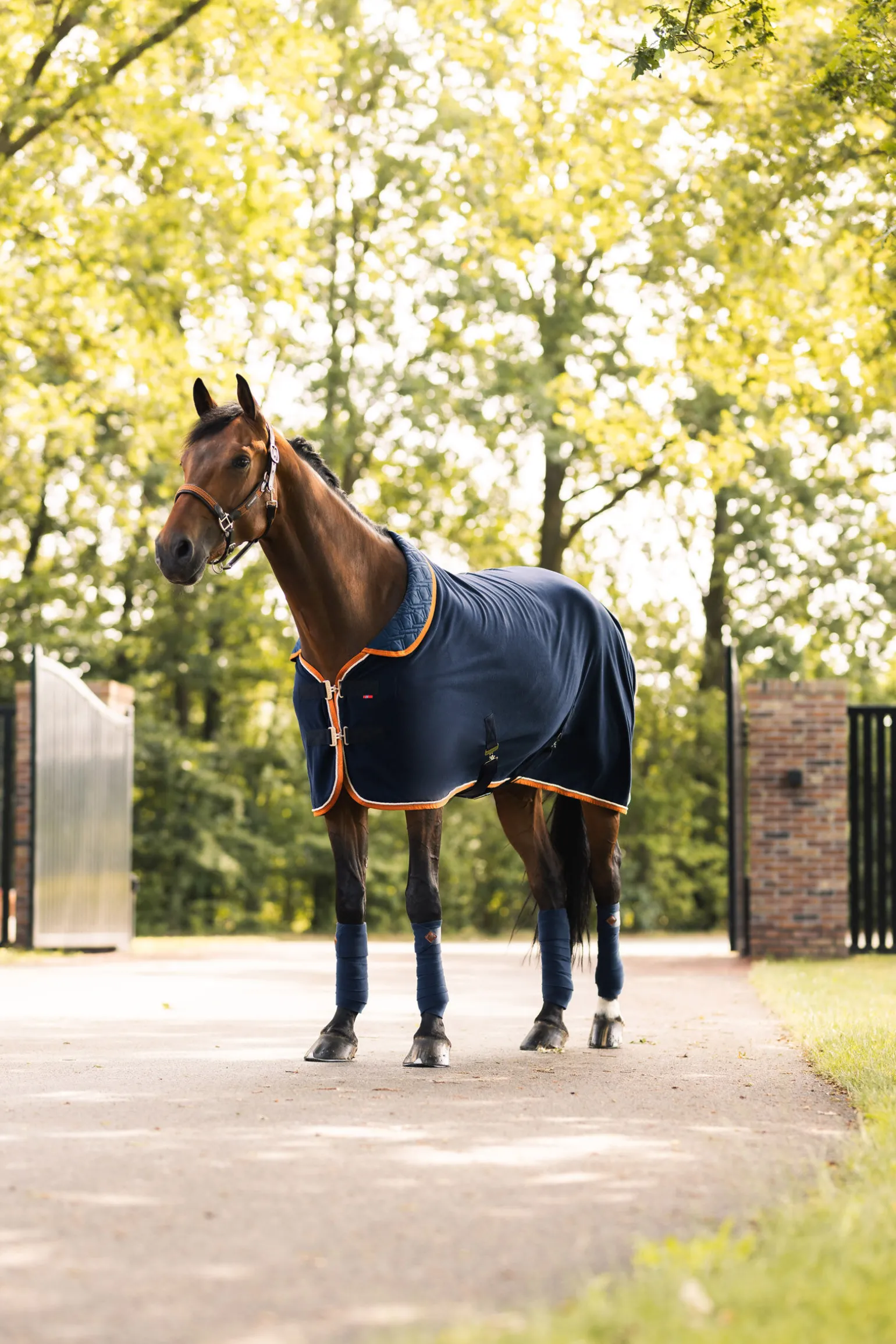 B Vertigo Evolve fleece-cooler