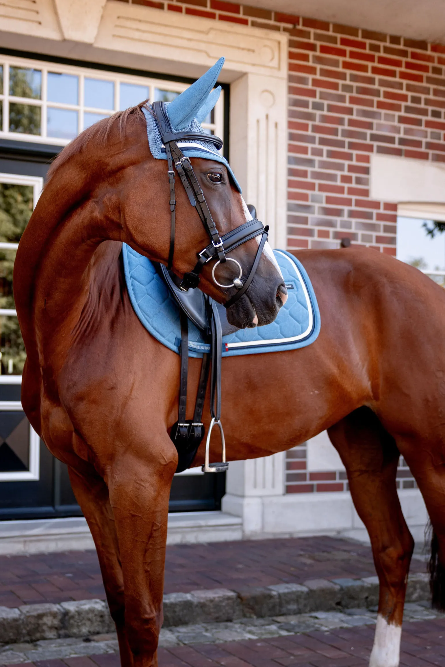 B Vertigo High Altitude dressurunderlag