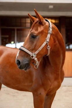 B Vertigo High Altitude preget grime