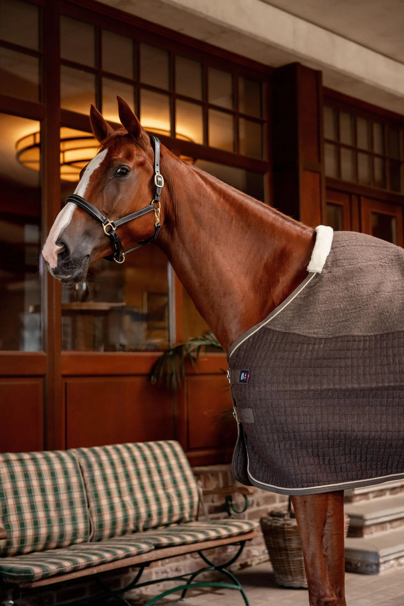 B Vertigo High Altitude ullblanding cooler