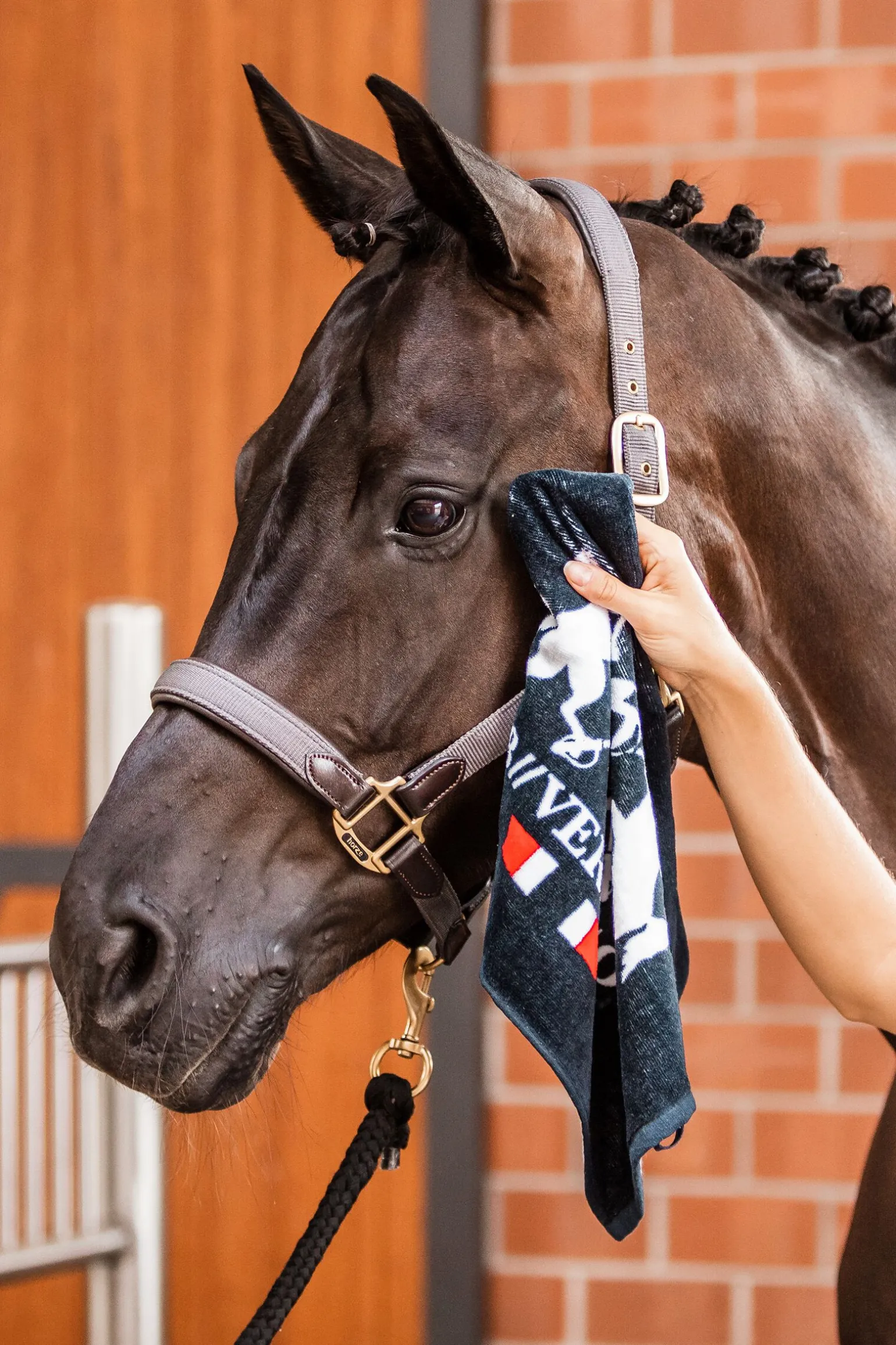 B Vertigo hånd-håndkle