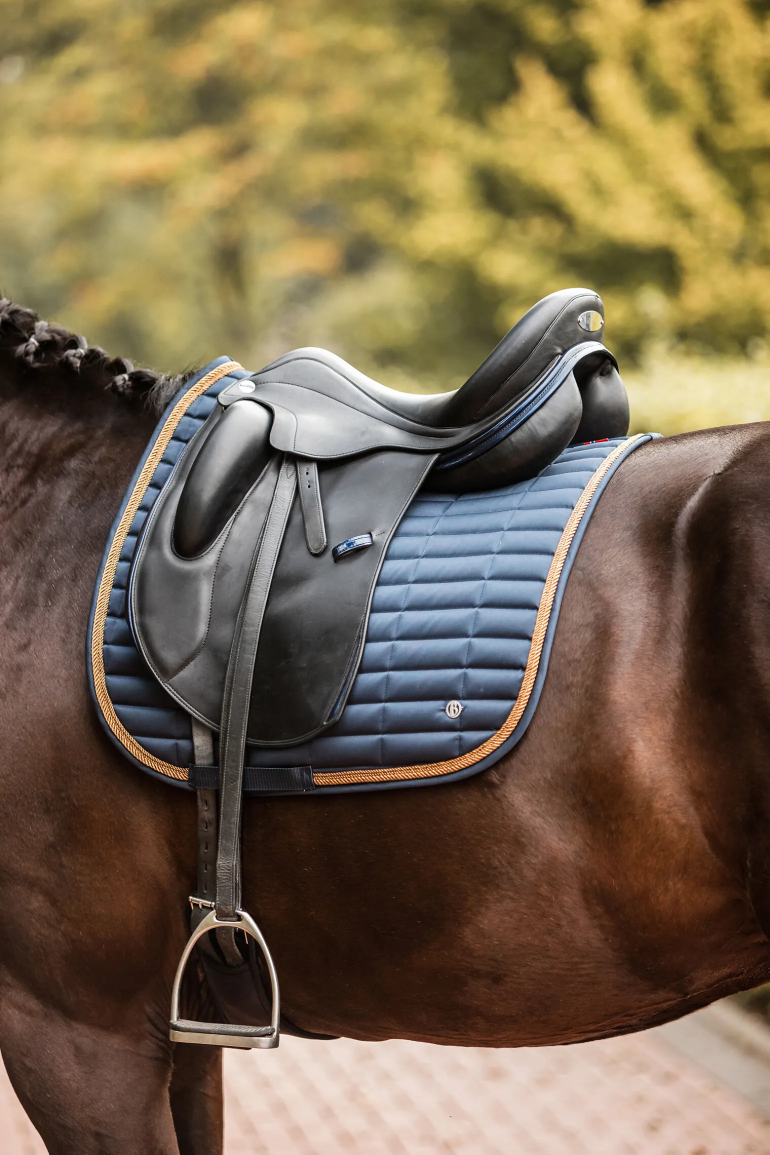 B Vertigo Quinn dressursjabrak