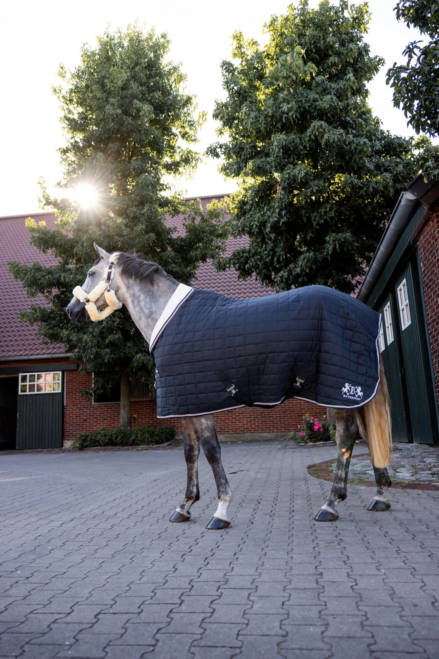 B Vertigo Theo stalldekken, 150 gram