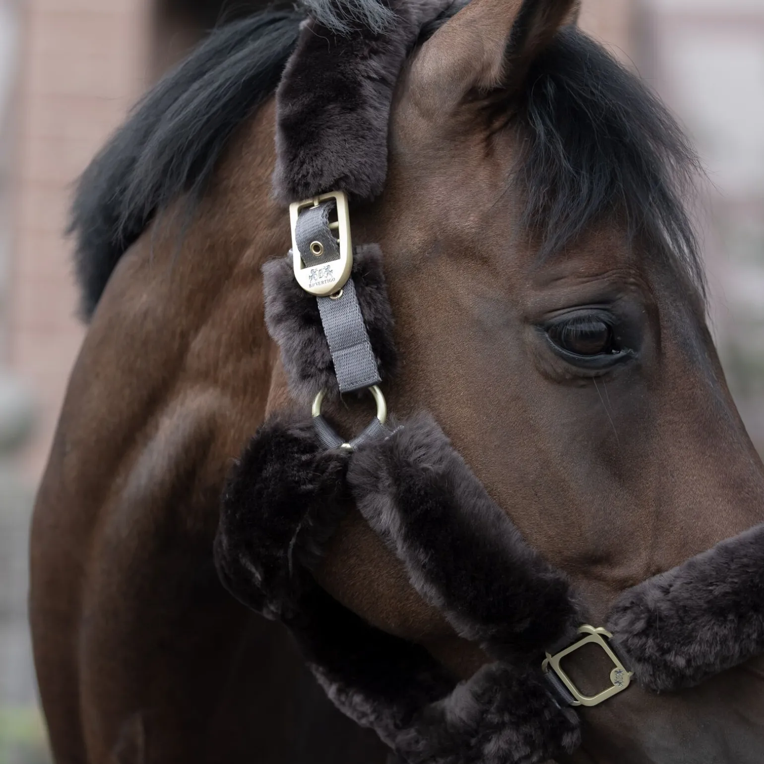 B Vertigo Tremblant grime med saueskinn