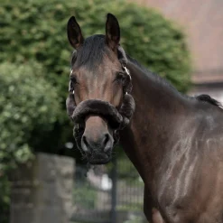 B Vertigo Tremblant grime med saueskinn