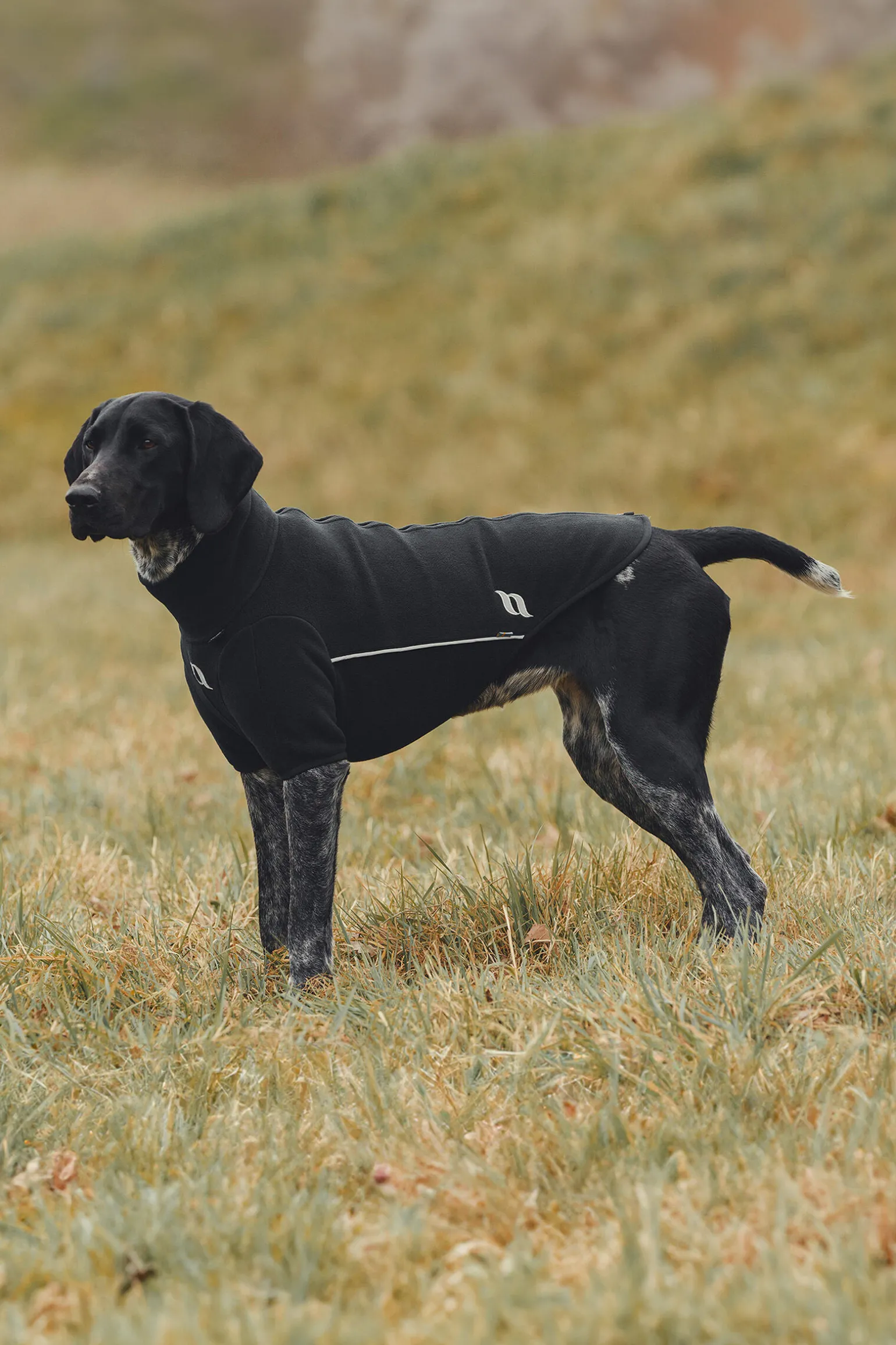 Back on Track Cassie allværsgenser, 55-60 cm