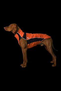 Back on Track Eddie High-Visibility genser, 40-45 cm