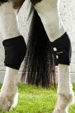 Back On Track hasebelegg, høyre