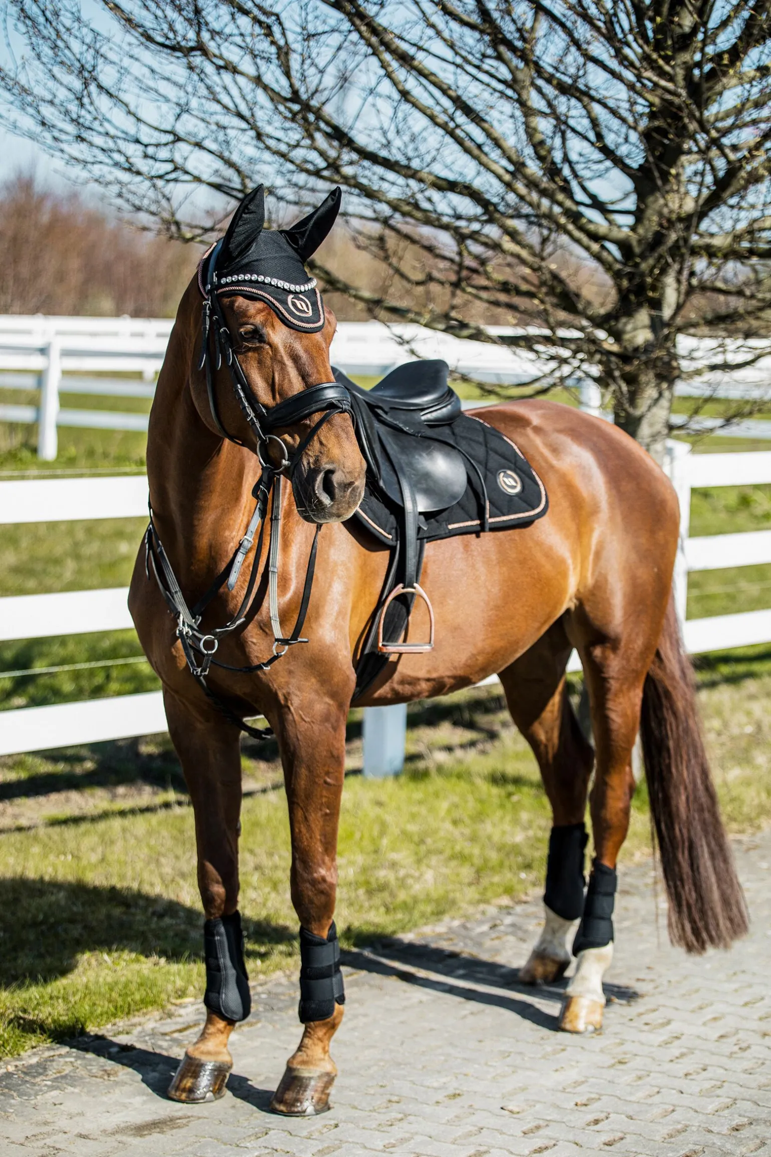 Back on Track Haze-kolleksjonen, sprangsjabrak