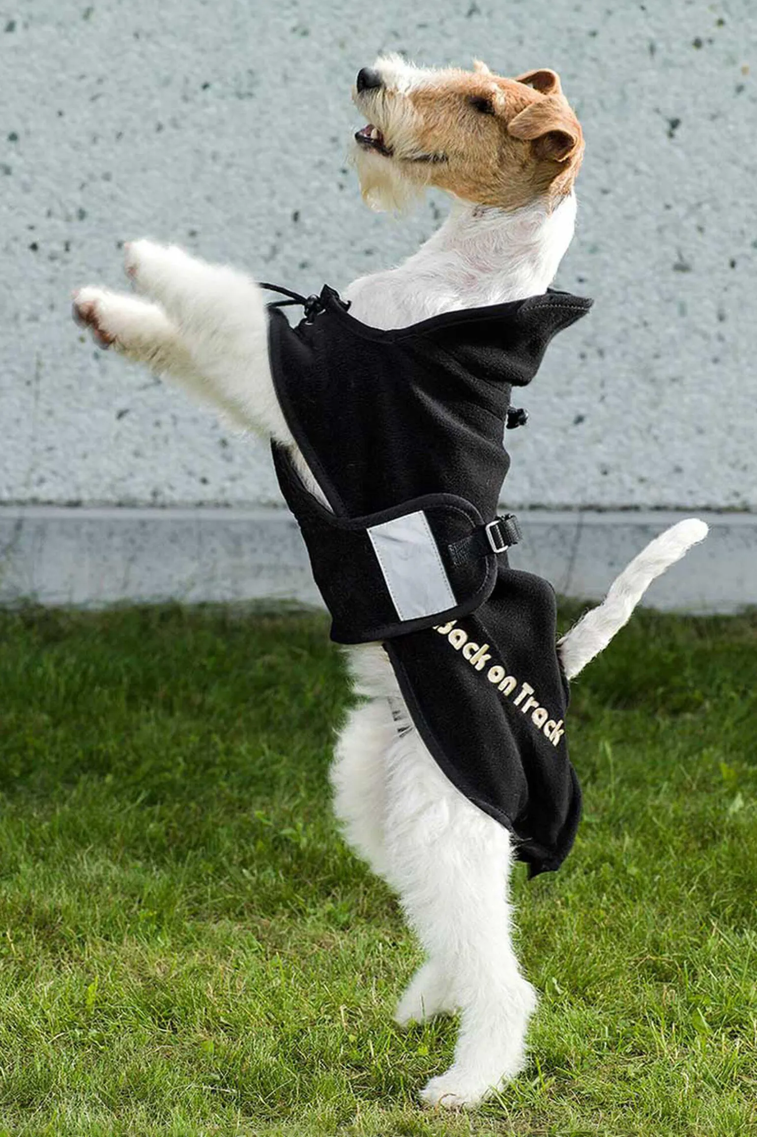 Back on Track hundedekken i fleece, 59-74