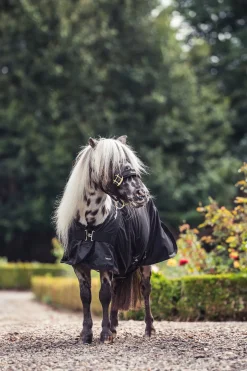 Back on Track Royal Ponni Mesh Teppe Deluxe