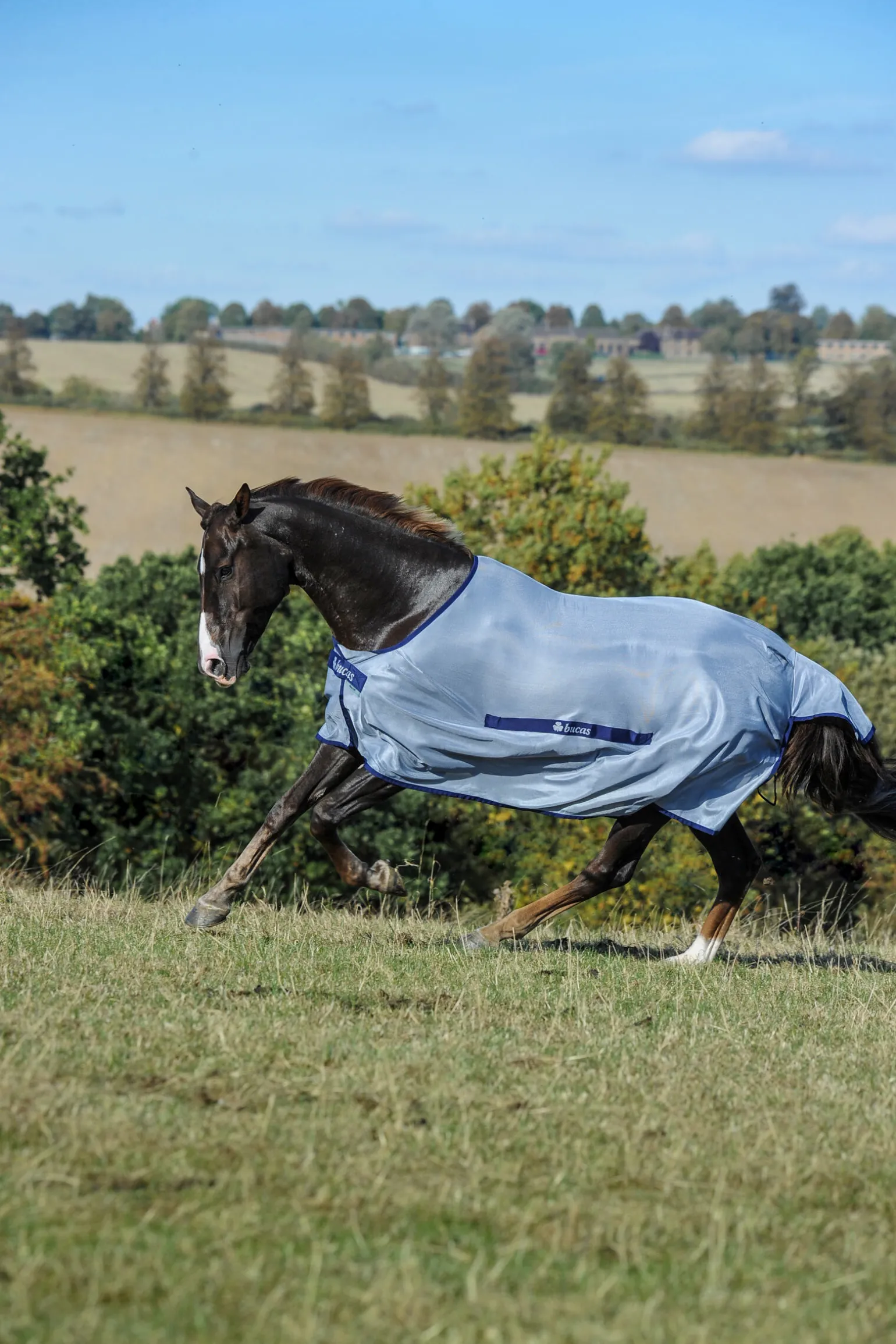 Bucas Buzz-Off Classic fluedekken