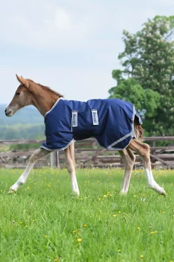 Bucas føldekken, 50g