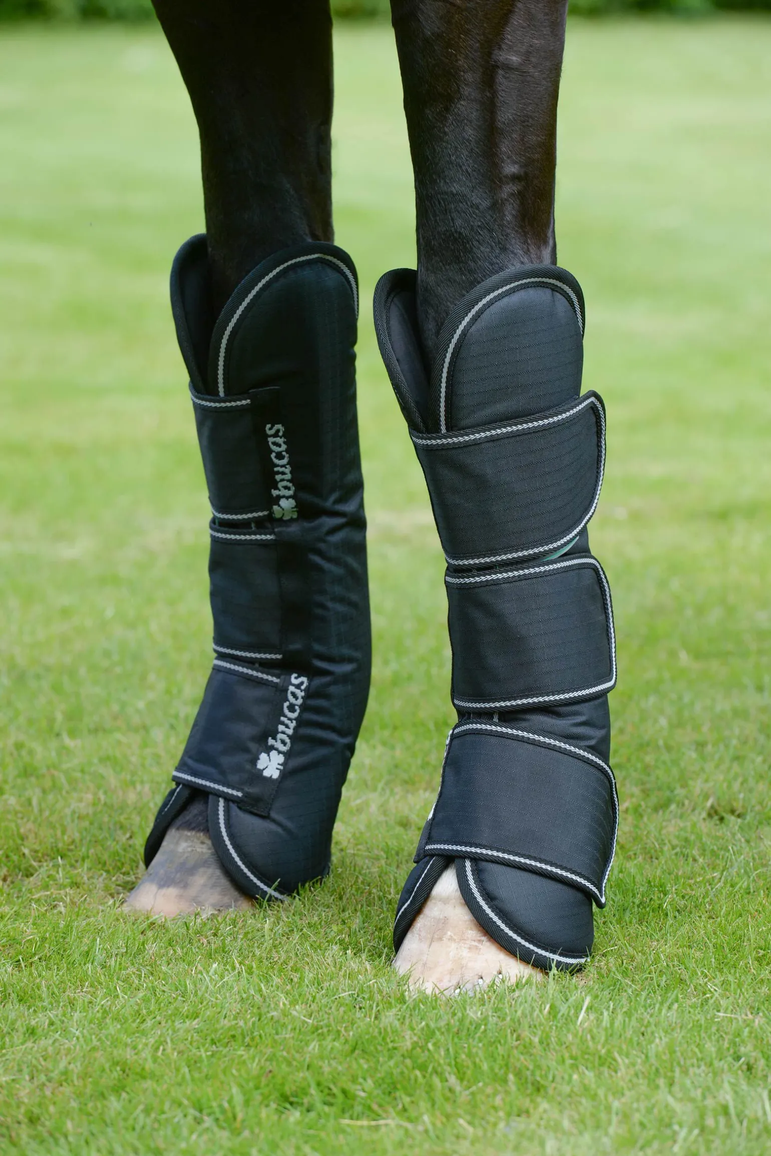 Bucas Freedom transportbelegg