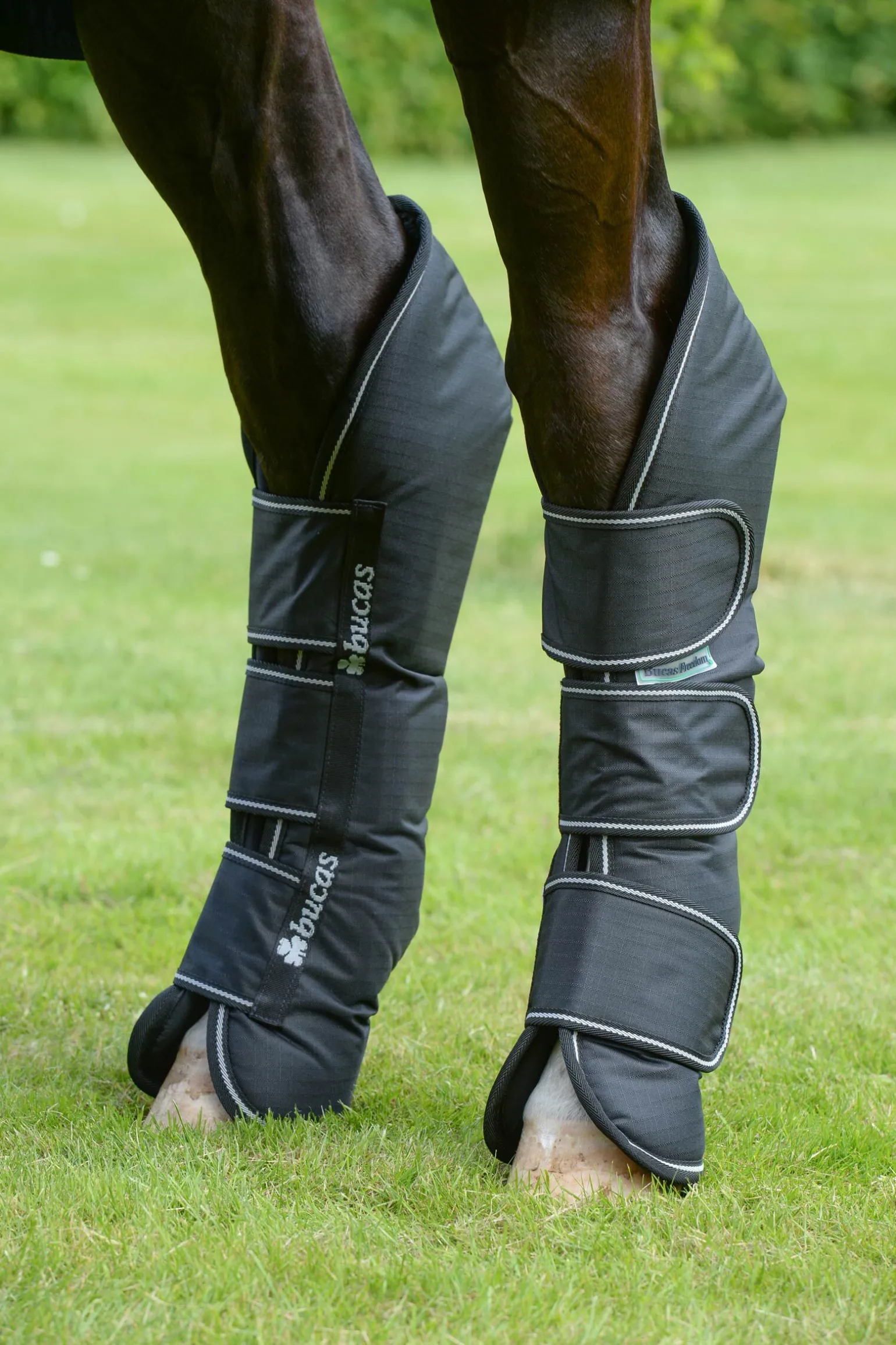 Bucas Freedom transportbelegg