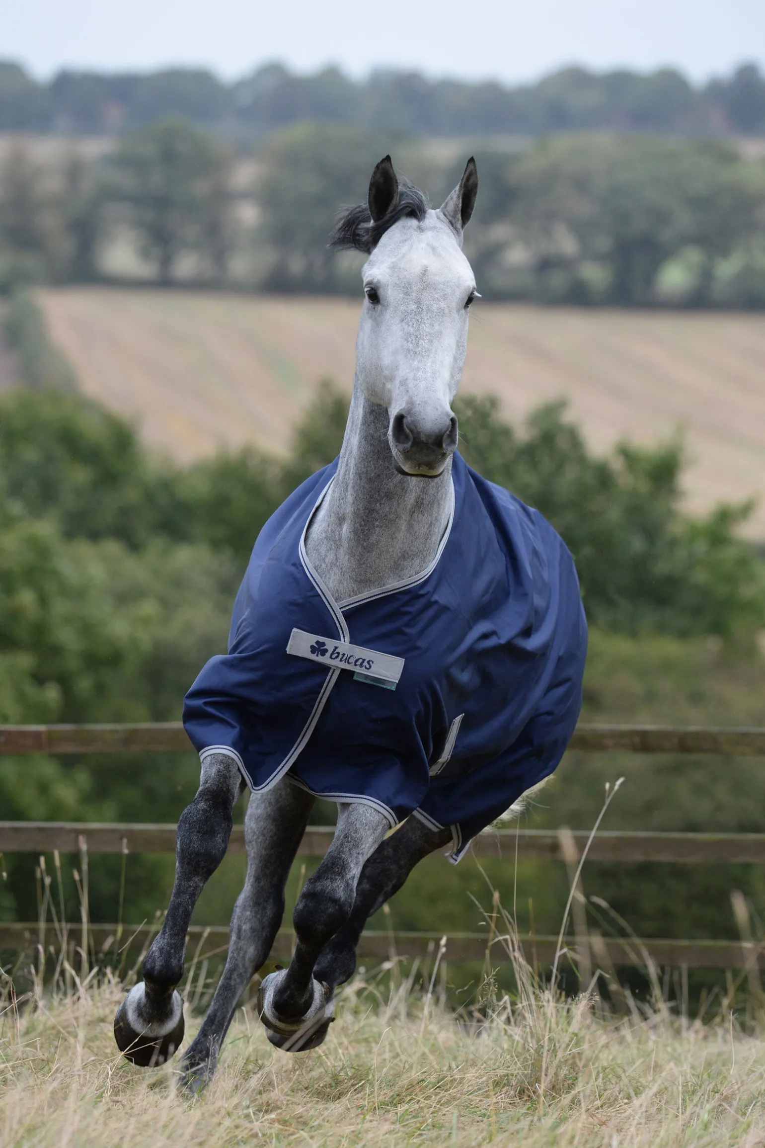 Bucas Freedom Utedekken, 150g