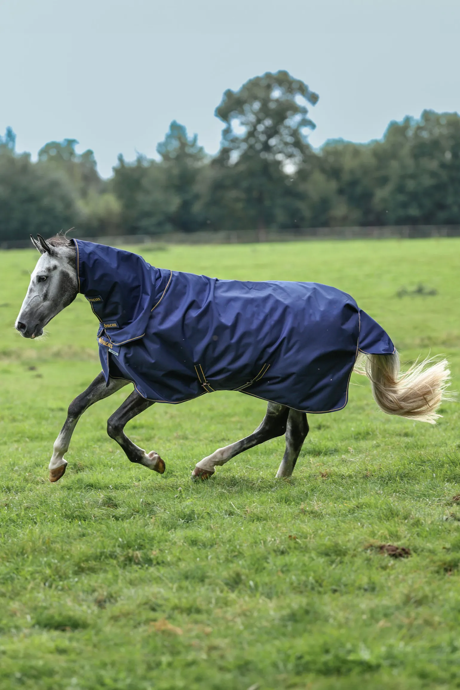 Bucas Irish Turnout halestykke, 0g