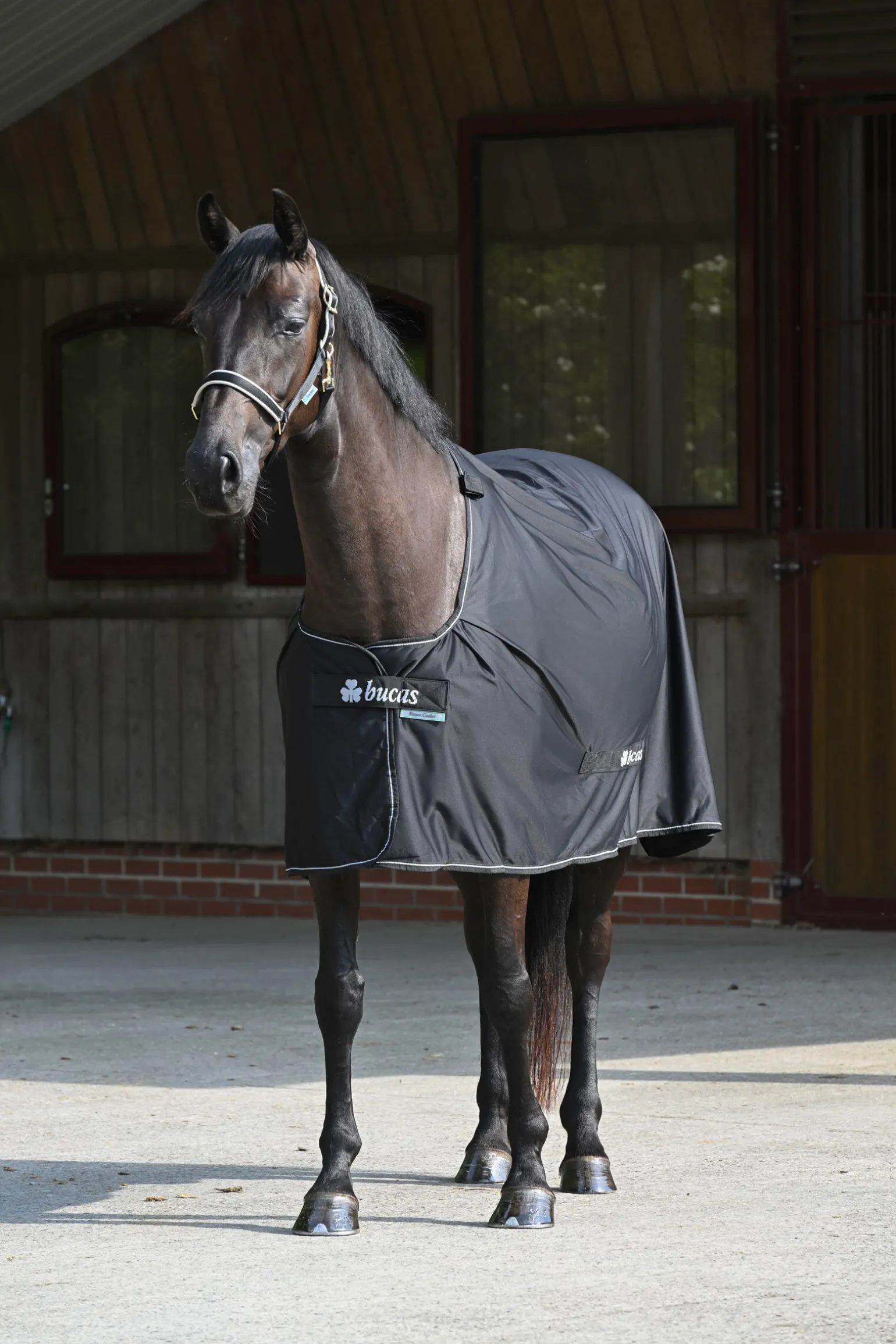 Bucas Power svettedekken + halsstykke sett