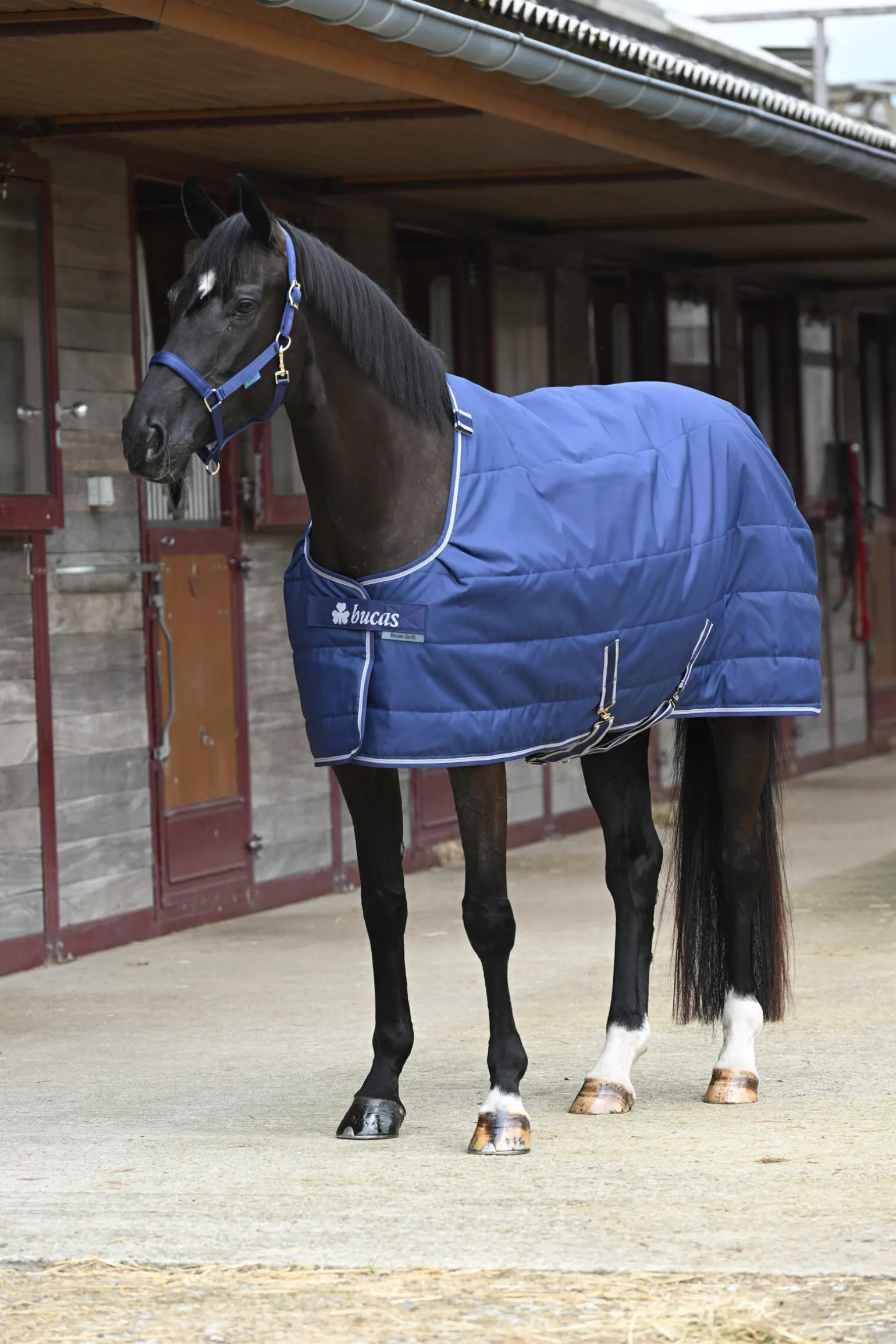 Bucas Quilt Stay-dry, 150g