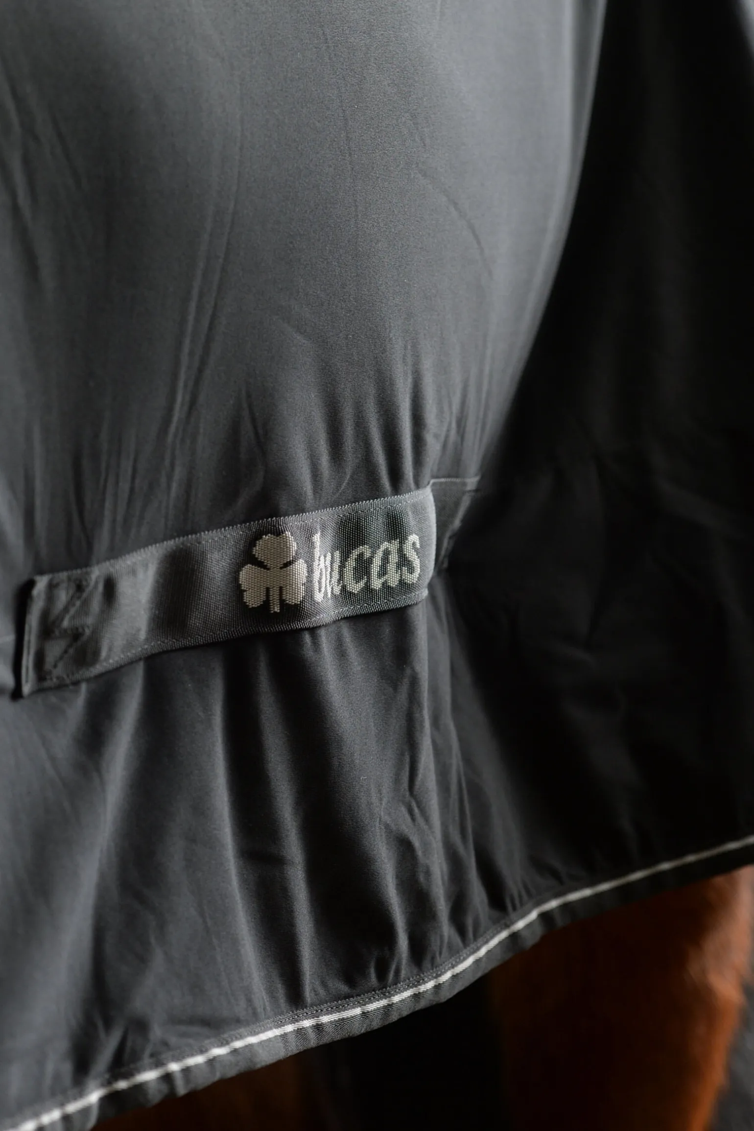 Bucas Shamrock Power dekken med hals