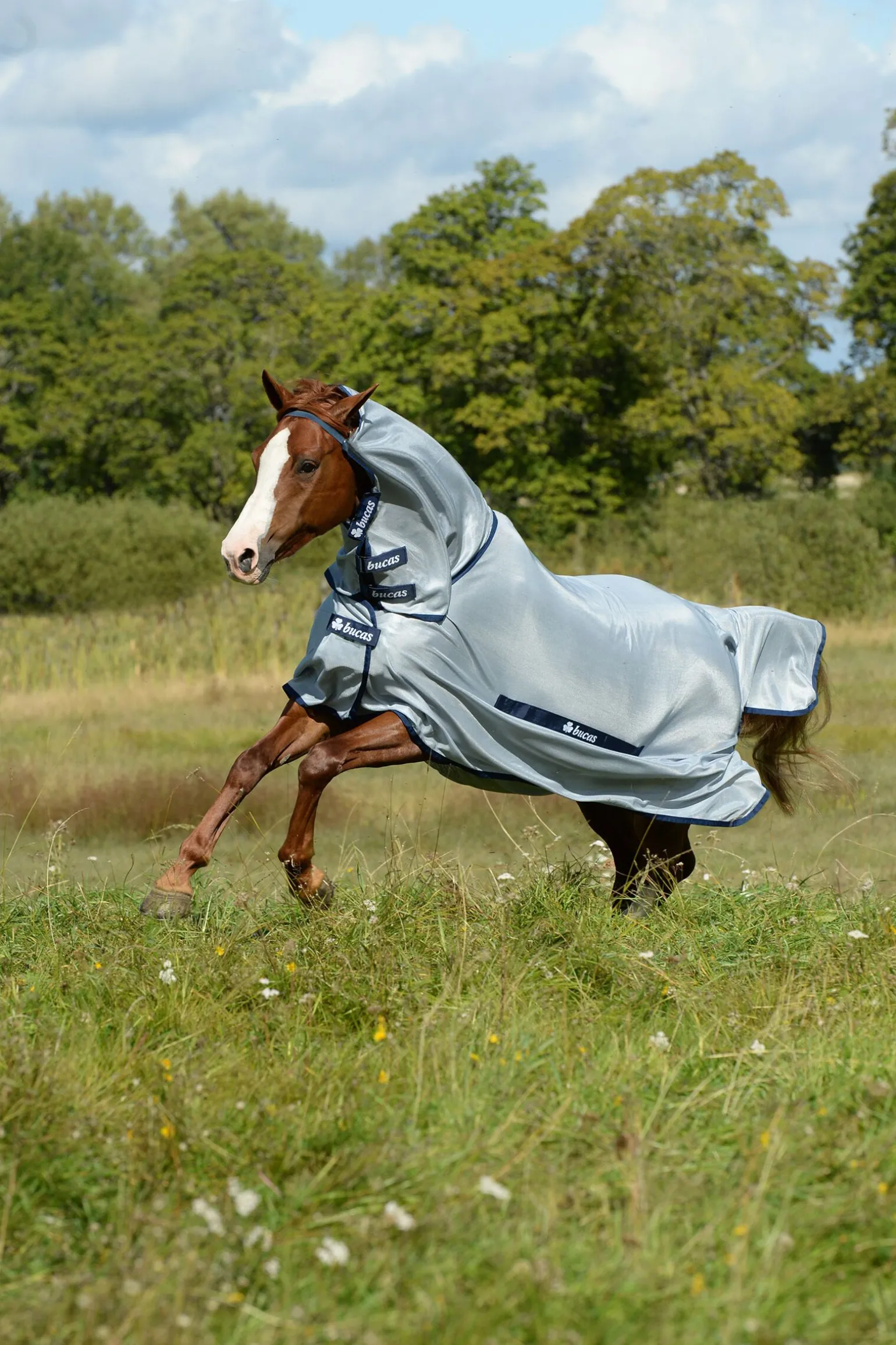 Buzz-Off Halsdekken til ponni