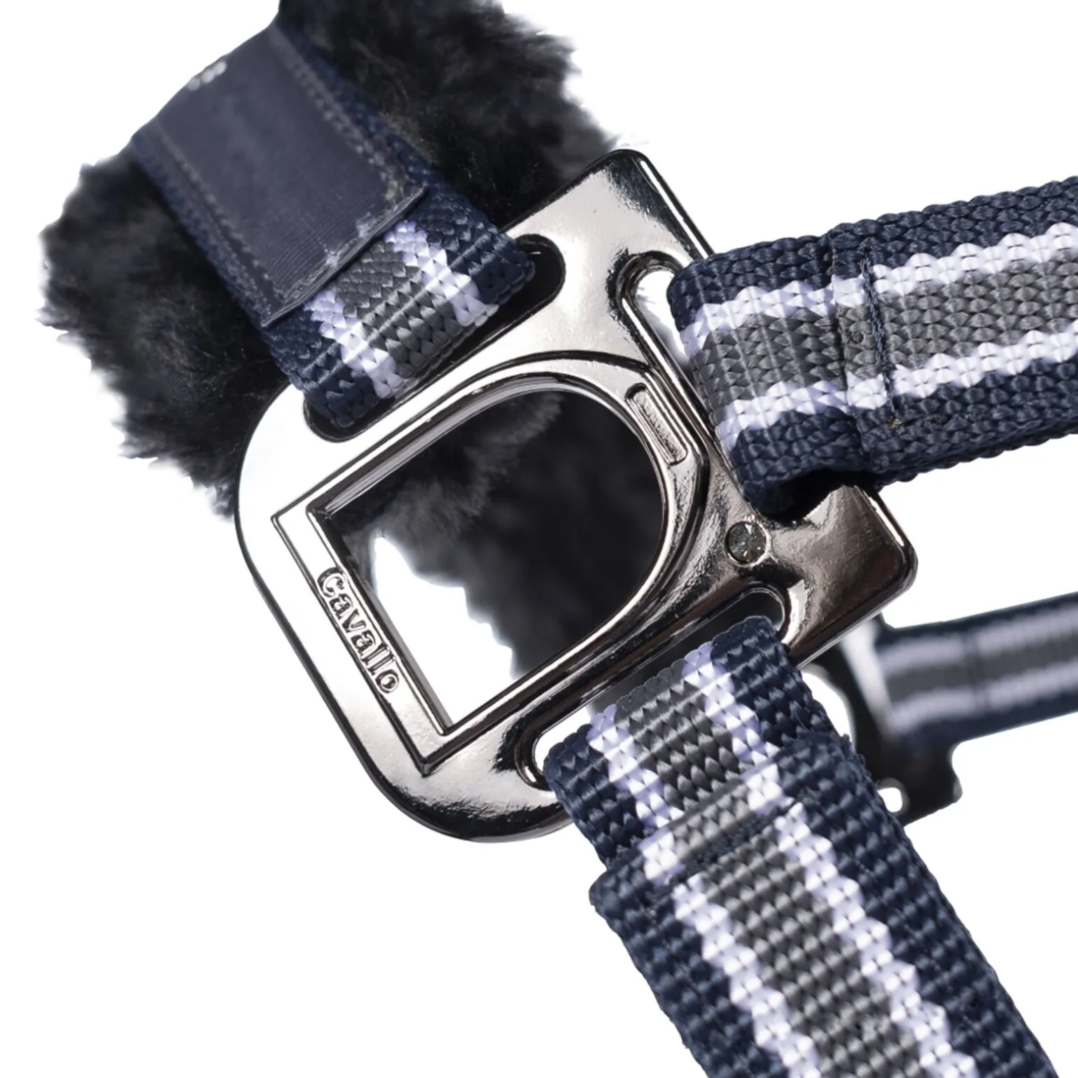 Cavallo CAVALHELIA grime