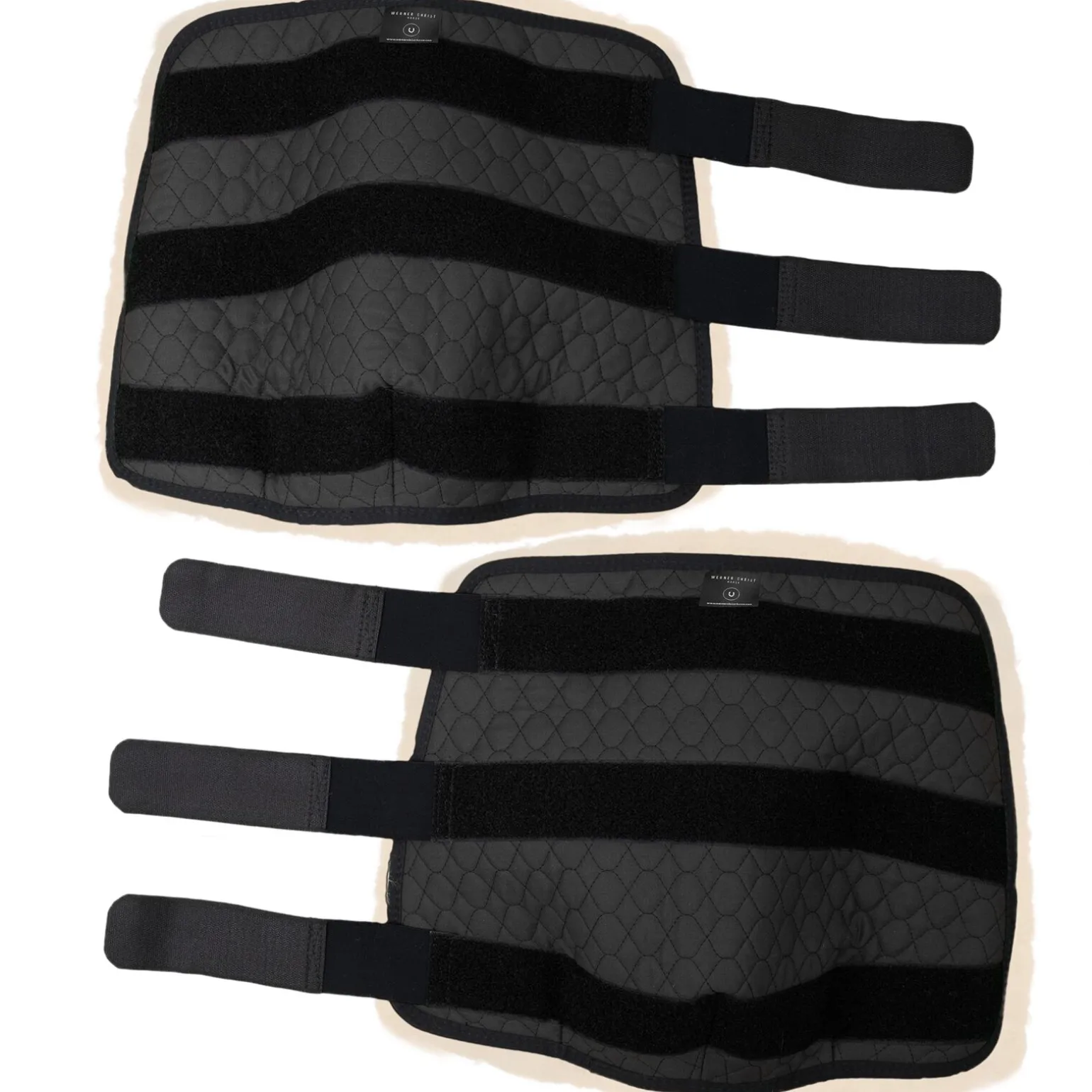 Christ Bakbeinsbeskyttere