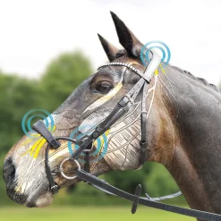 Collegiate ComFiTec Training, hodelag