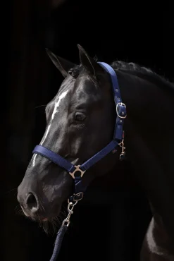 Covalliero Dexter grime med fleecefôring