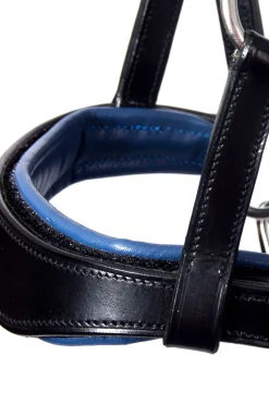 F.R.A. Freedom Riding Articles Aruba bittløst hodelag med tøyler (system 3)