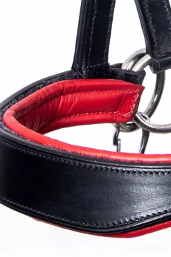 F.R.A. Freedom Riding Articles Aruba bittløst hodelag med tøyler (system 3)