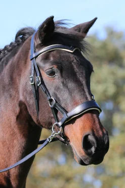 F.R.A. Freedom Riding Articles Aruba bittløst hodelag med tøyler (system 3)