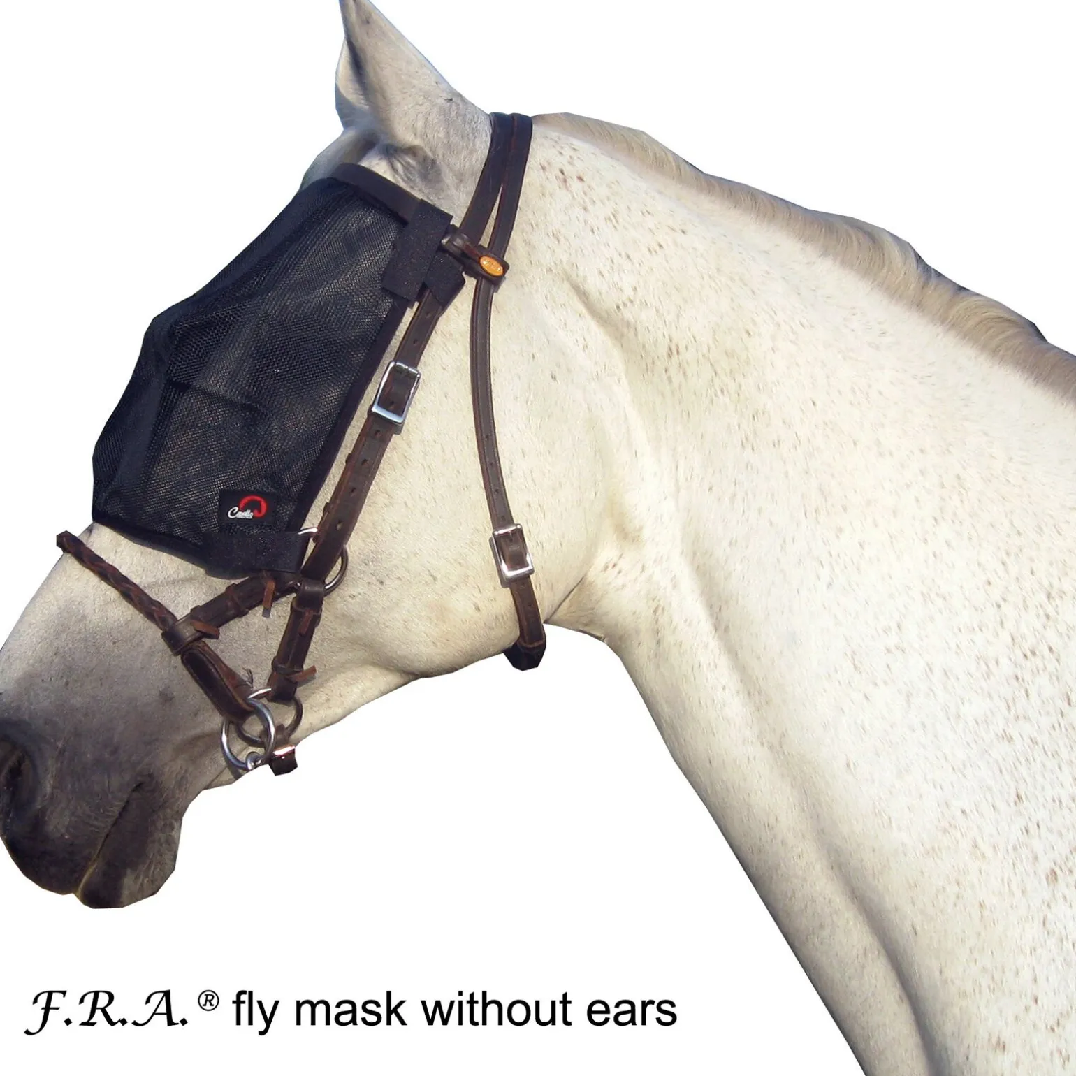 F.R.A. Freedom Riding Articles Cavallo fluemaske