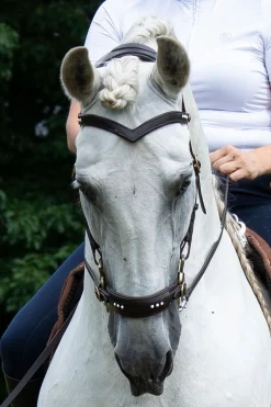 F.R.A. Freedom Riding Articles Glory hodelag Hackamore med tøyler (system 2), brun