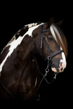 F.R.A. Freedom Riding Articles Dietsji bittløst hodelag med tøyler (system 5)