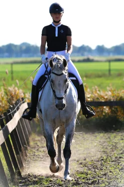 F.R.A. Freedom Riding Articles Calli hodelag Hackamore med tøyler (system 2)