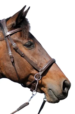 F.R.A. Freedom Riding Articles El Camin bittless bridle (system 5) med myke tøyler