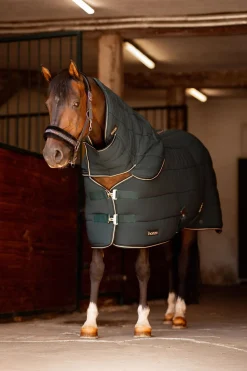 Hals til Glasgow ponnidekken for stall