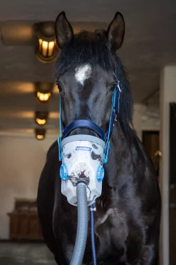 Hippomed AirOne Ultrasound inhalator med maske, varmblods