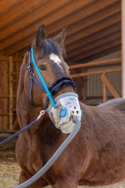 Hippomed inhaleringsmaske inkludert tilbehør til AirOne, trekkhest