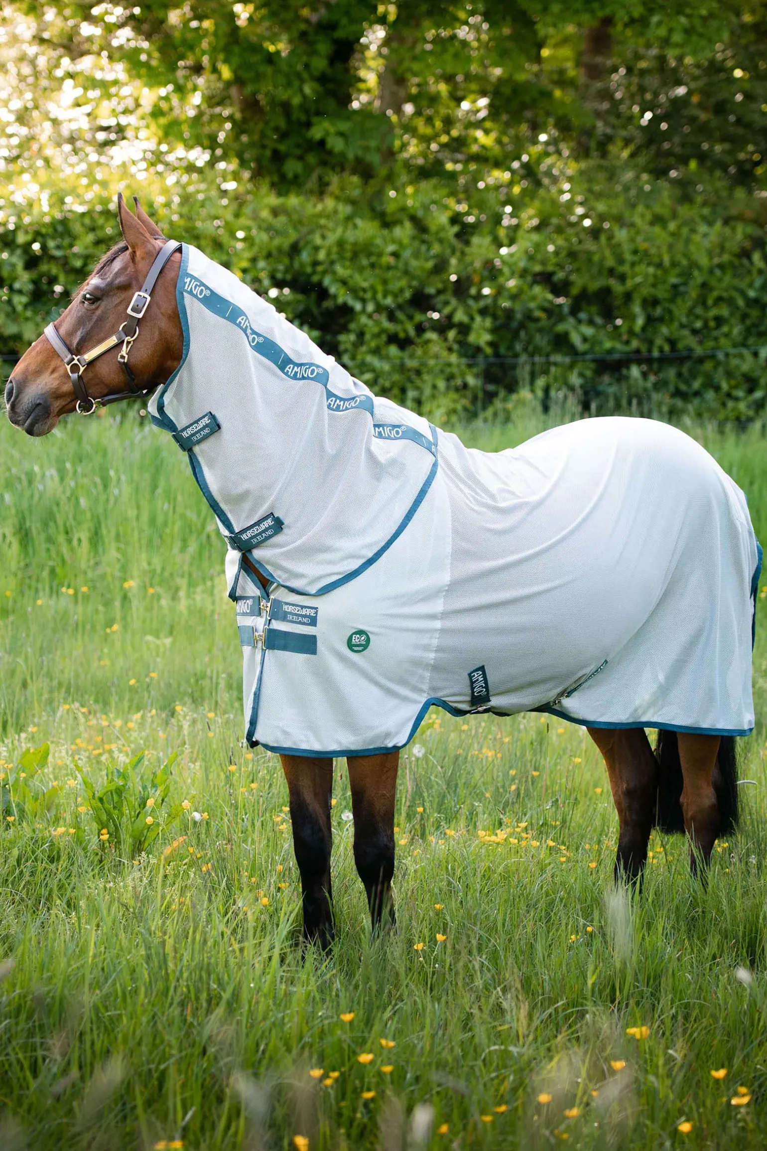 Horseware AmEco fluedekken