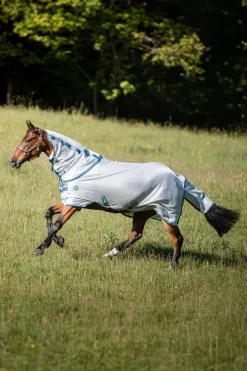 Horseware AmEco fluedekken