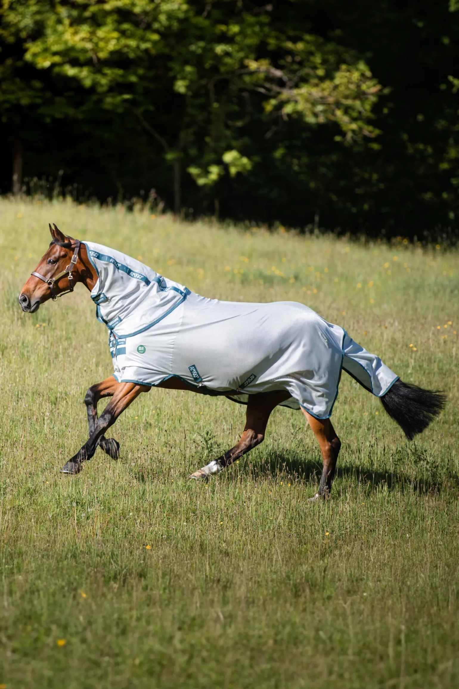 Horseware AmEco fluedekken
