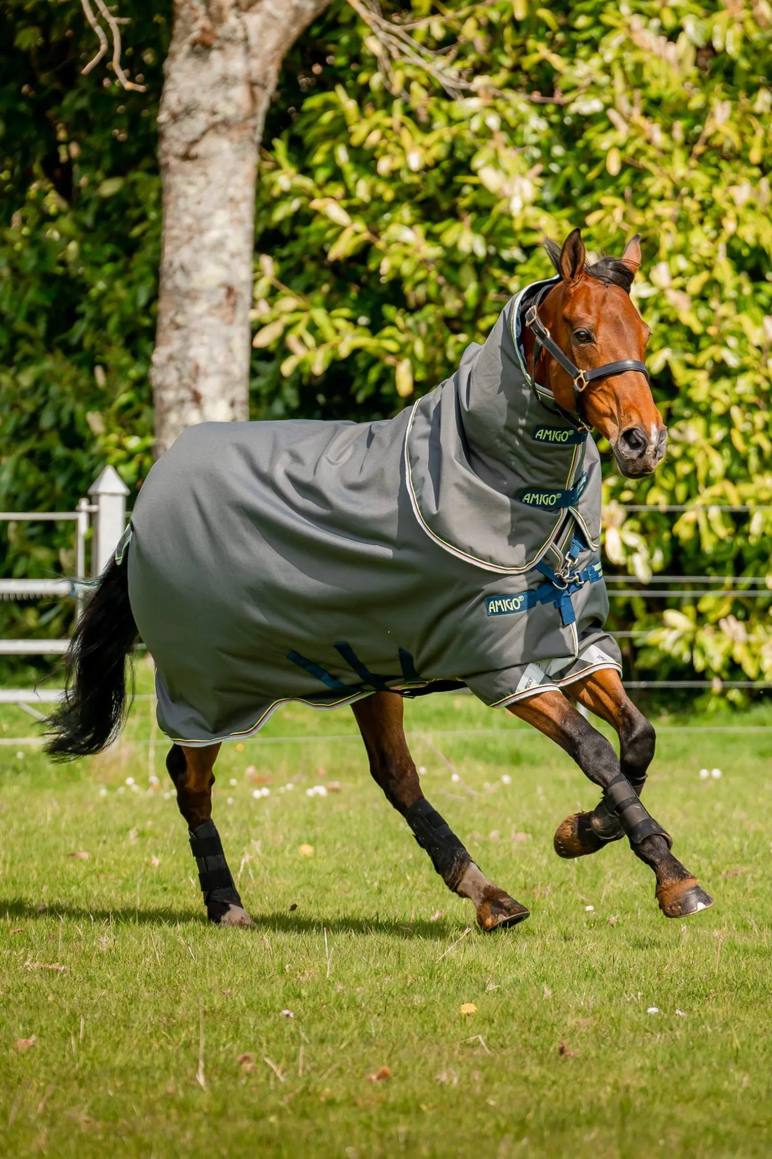 Horseware Amigo Bravo 12 Plus utedekken, 250g