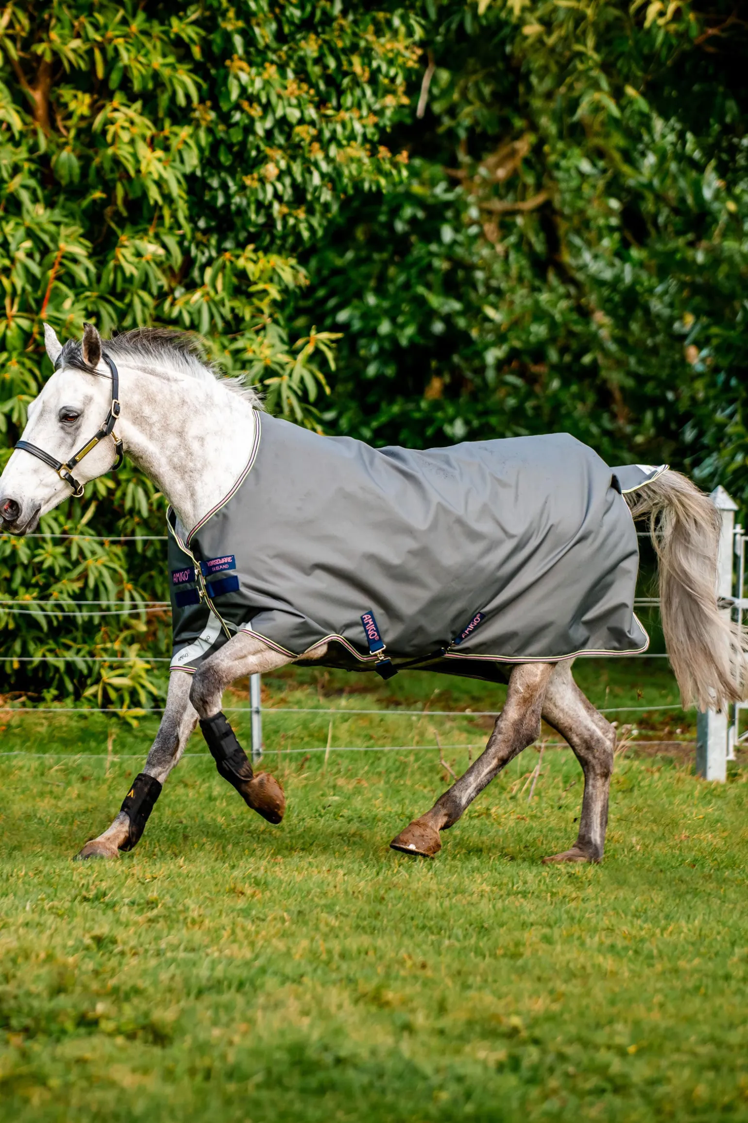 Horseware Amigo Bravo 12 utedekken, 0 g