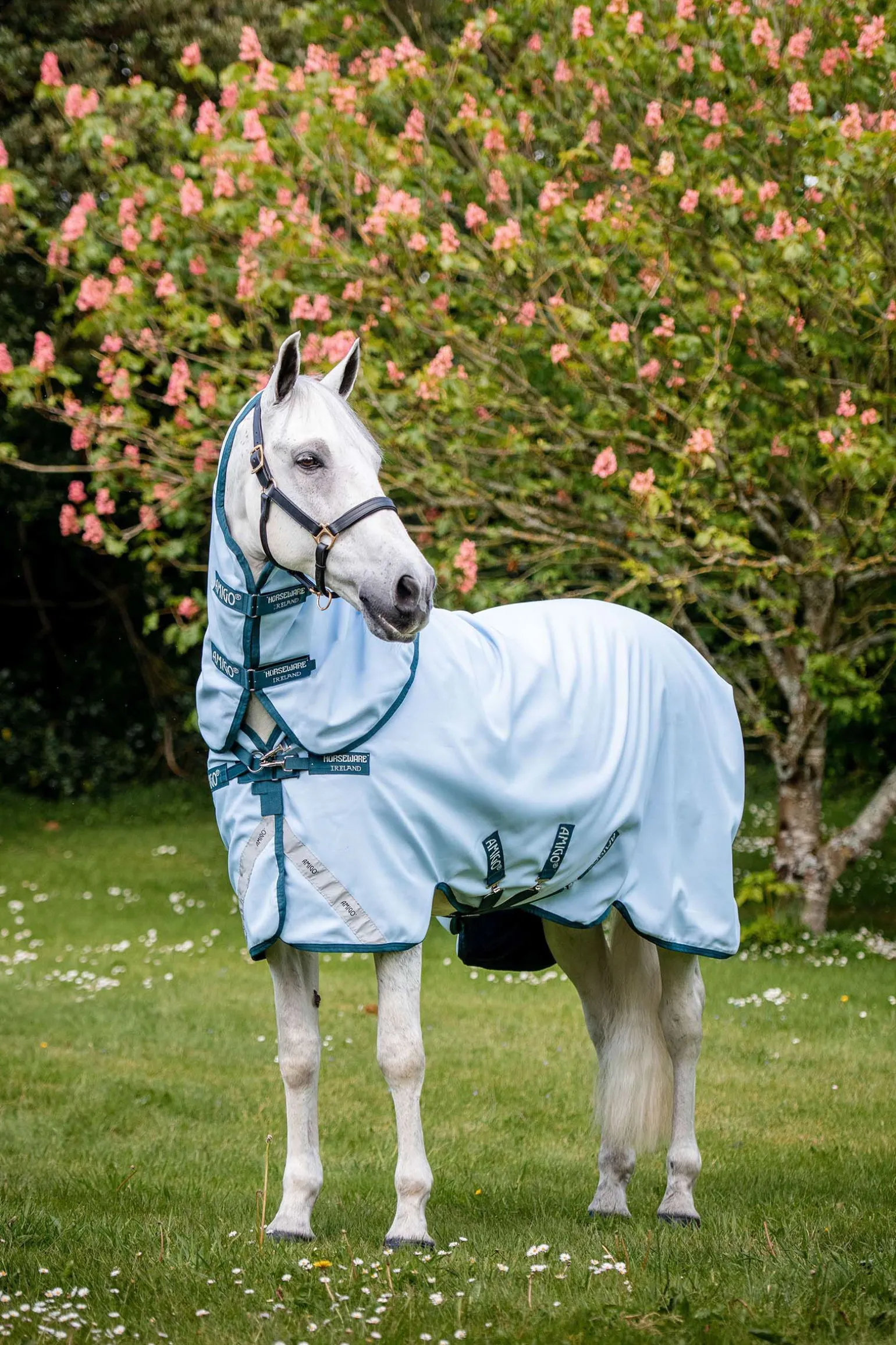 Horseware Amigo Plant Dye utedekken, 50 gram