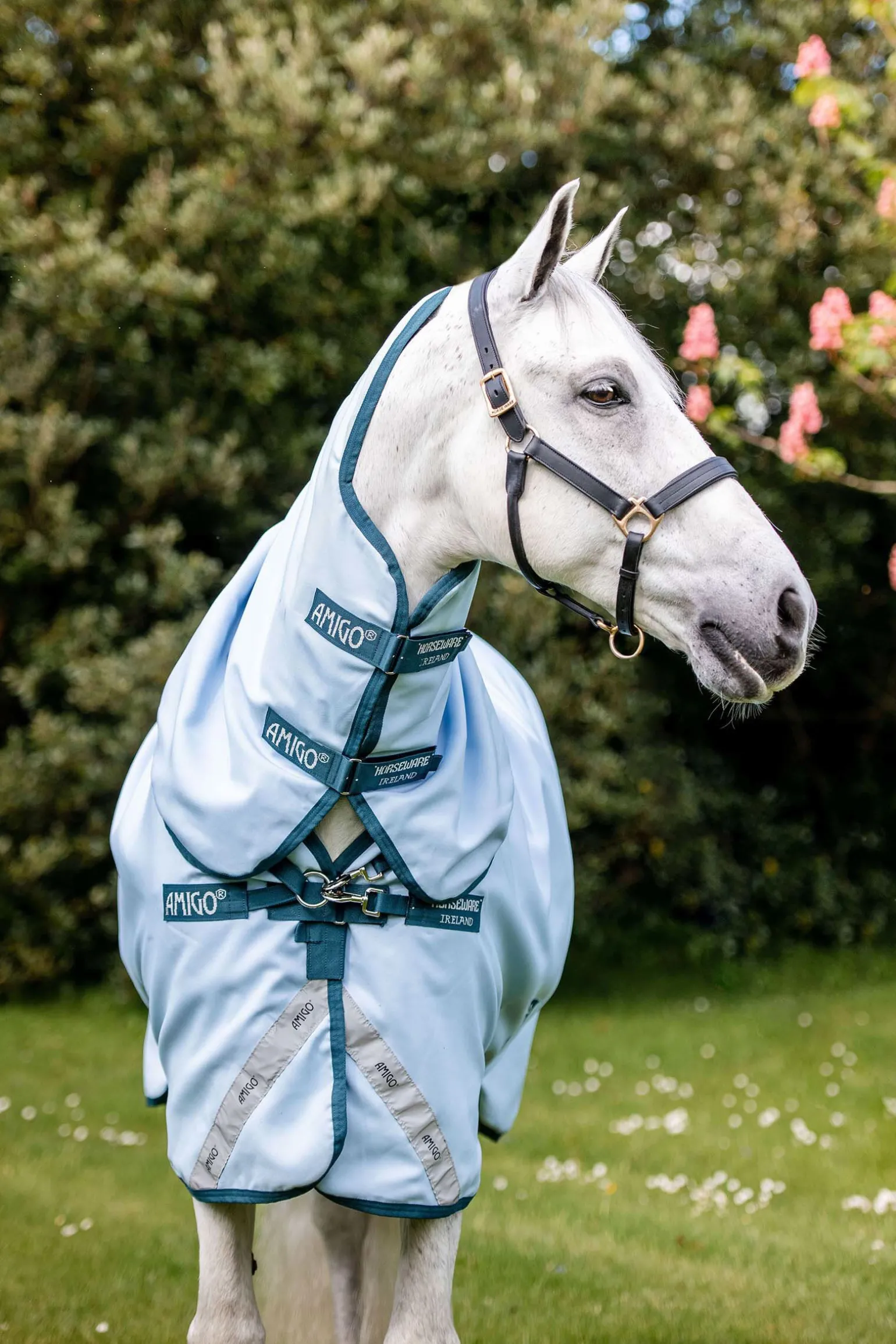 Horseware Amigo Plant Dye utedekken, 50 gram