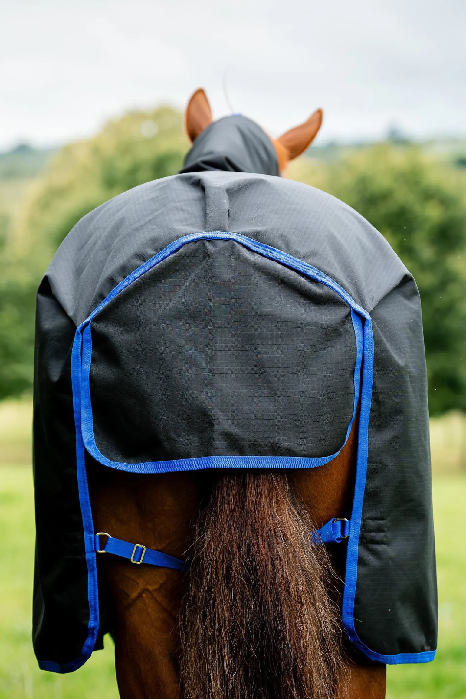 Horseware Amigo Ripstop 900 Plus 200g